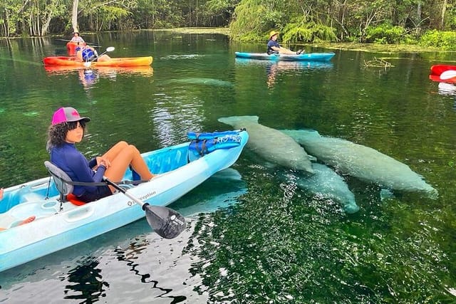 Manatee Fun